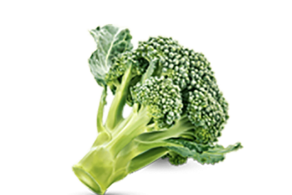 h3-product11 h3-product11