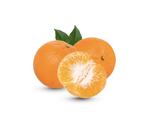 h3-product2 h3-product2