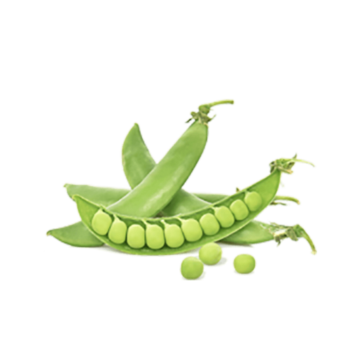 h3-product7 h3-product7