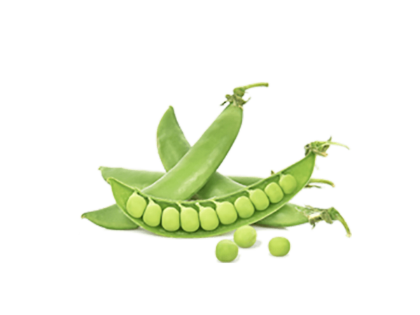 h3-product7 h3-product7