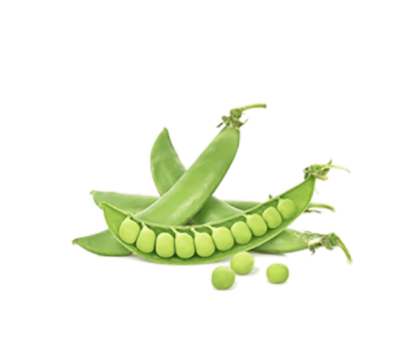 h3-product7 h3-product7